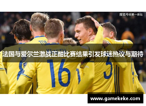 法国与爱尔兰激战正酣比赛结果引发球迷热议与期待